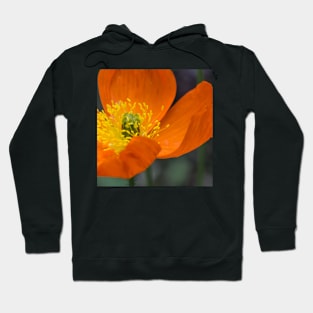 Poppy Hoodie